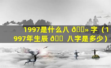 1997是什么八 🌻 字（1997年生辰 🐠 八字是多少）